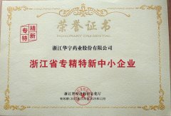 浙江省專精特新中小企業(yè)